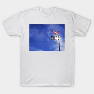 Cemetery and Flags- Post, Texas T-Shirt